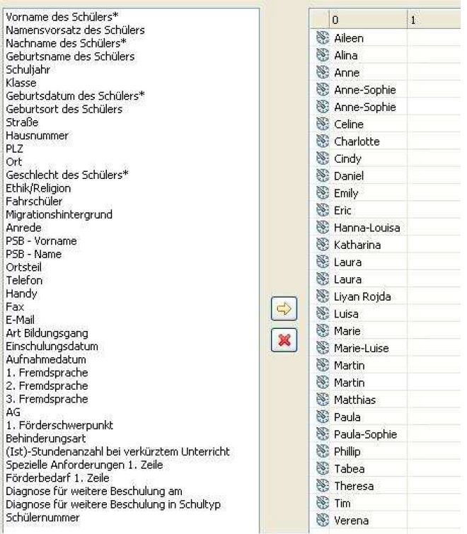 Dialog Import SaxSVS Auswahl.jpg